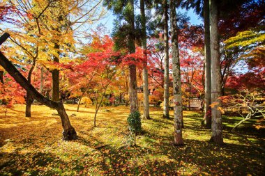kojyoin tsukimido achi Köyü, nagano, Japonya