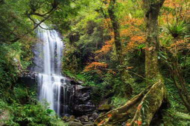 şelale düşüşü, Tayvan