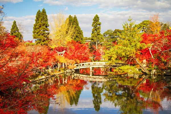 Noční pohled na javorový sezóny na podzim, Japonsko — Stock fotografie