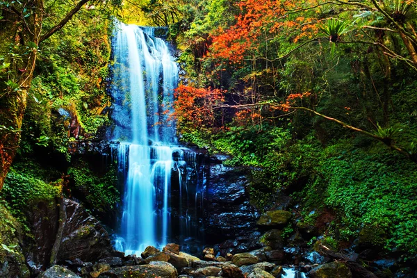 Air terjun di musim gugur, Taiwan — Stok Foto