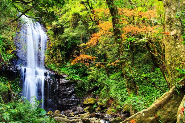 Waterfall at fall, Taiwan — Stock Photo, Image