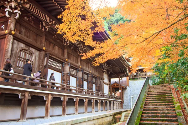 Vista nocturna de la temporada de arce en otoño, Japón —  Fotos de Stock