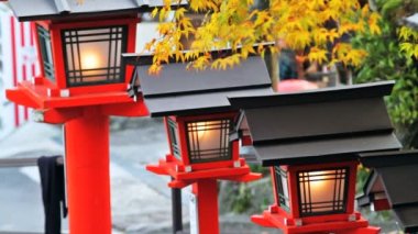 gece görüş de maple sezon sonbahar, japan