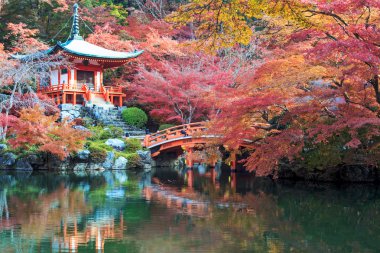 Recai-ji shingon Budist geçici olduğunu