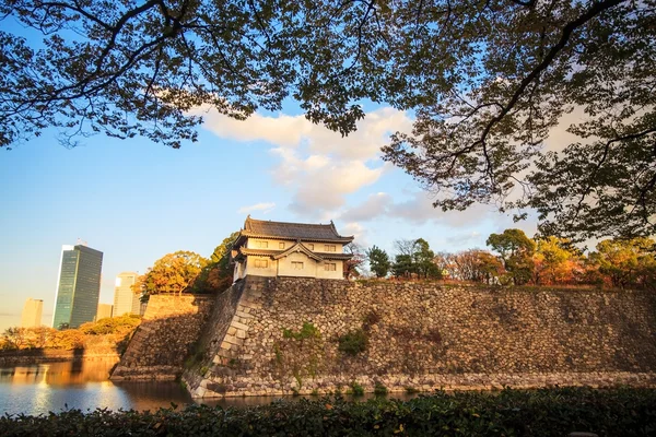 Färgade japansk lönnlöv — Stockfoto