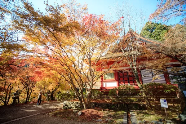 談山神社 — ストック写真