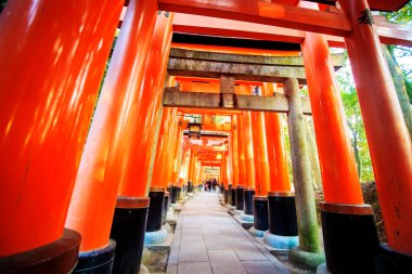Fushimi Inari