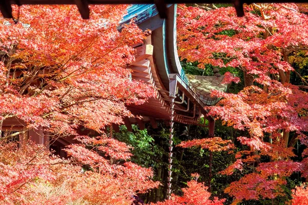 Jesieni z Kioto, Japonia — Zdjęcie stockowe