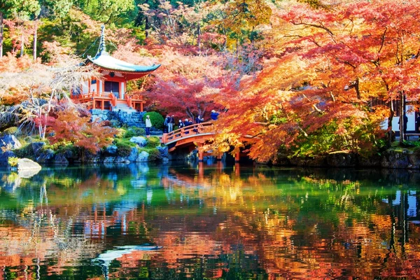 秋天的日本花园在京都的枫叶，与日本 — Φωτογραφία Αρχείου