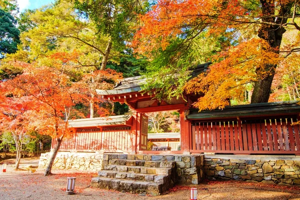 Fall season of kyoto, Japan — Stock Photo, Image