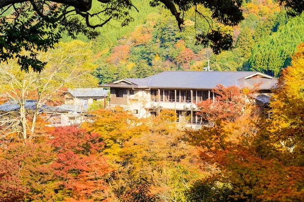 Podzim v Kjótu, Japonsko — Stock fotografie