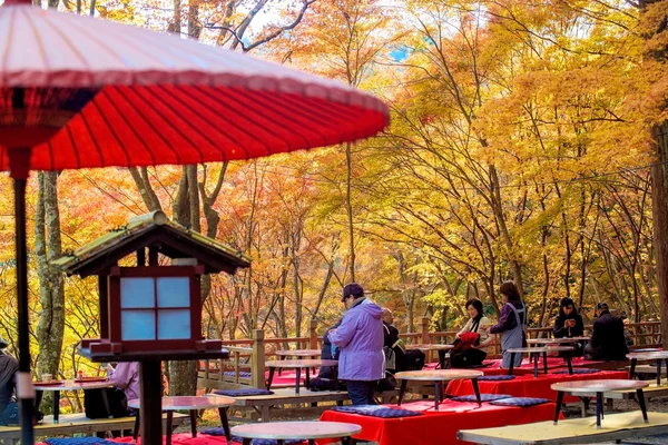 Val seizoen van kyoto, japan — Stockfoto