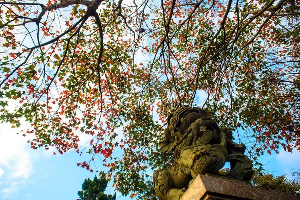 Beautiful maple place, Taiwan — Stock Photo, Image