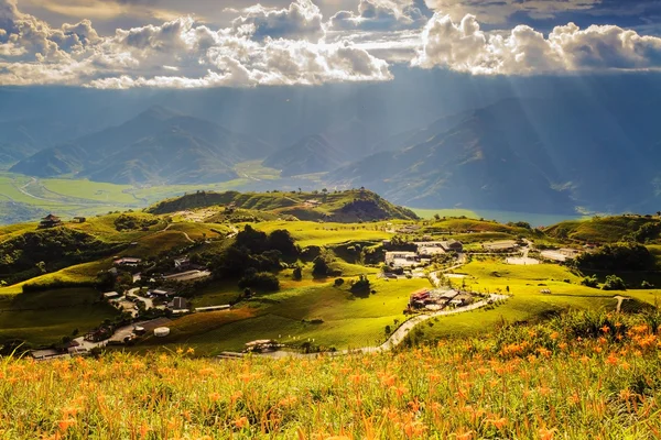 Fiore di giglio di giorno a sessanta montagna di pietra — Foto Stock