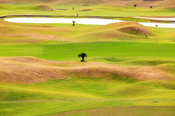 좋은 배경으로 아름 다운 골프 장소 — 스톡 사진