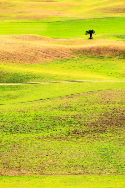 Mooie golf plaats met mooie achtergrond — Stockfoto