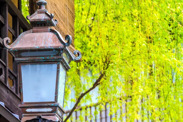 Colored Japanese maple leaf in Jingo-Ji — Stock Photo, Image