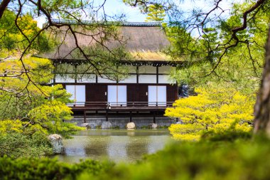 Japonya'daki Sakura seaskon