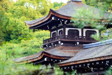 Japonya'daki Sakura seaskon