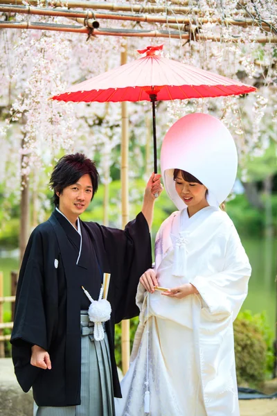 Celebration of a typical wedding in Japan