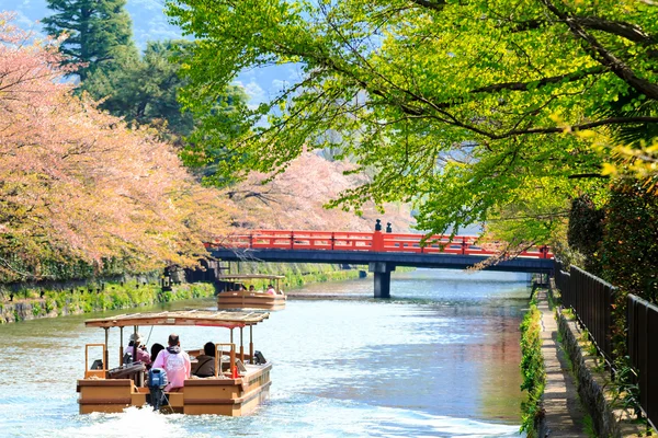 Sakura säsong i Kyoto, Japan — Stockfoto