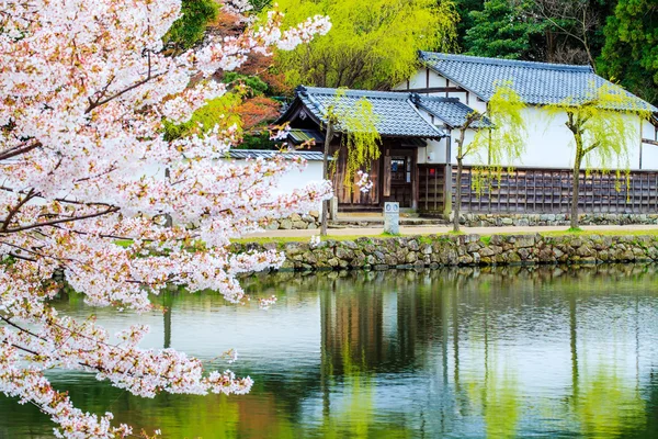 在日本京都的樱花季节 — 图库照片