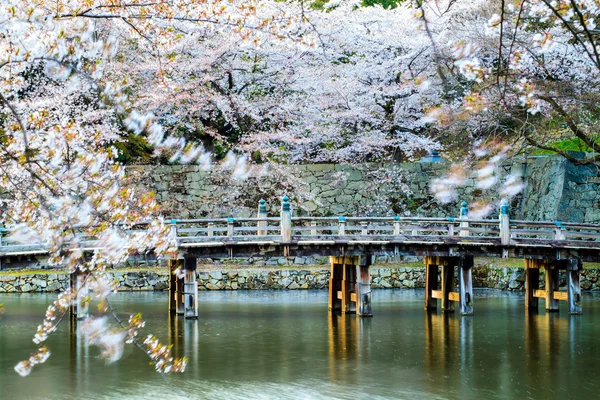 Sakura sezon w Kyoto, Japonia — Zdjęcie stockowe