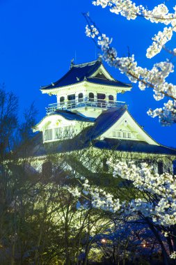 Nagahama Kalesi