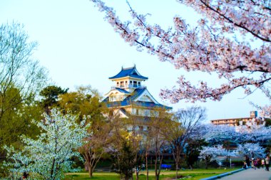 Nagahama Kalesi