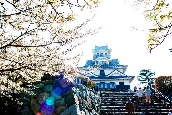 Nagahama Castle — Stock Photo, Image