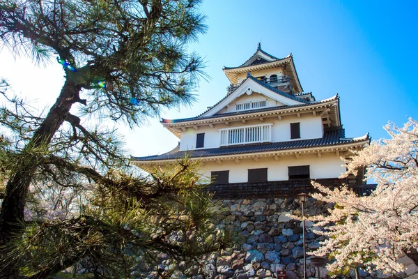 Castillo de Nagahama — Foto de Stock