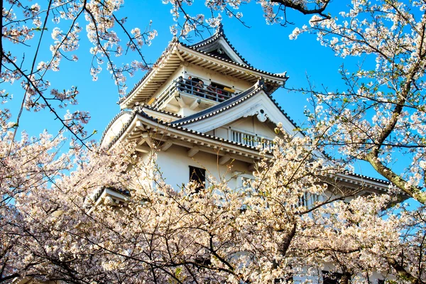 Castello di Nagahama — Foto Stock