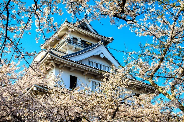 Nagahama Castle — Stock Photo, Image