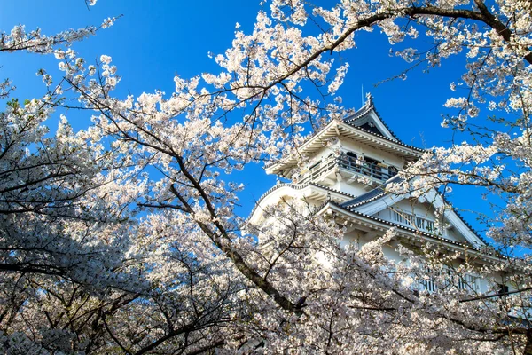 Castello di Nagahama — Foto Stock