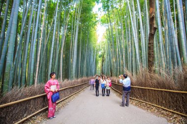 The bamboo forest of Kyoto, Japan clipart