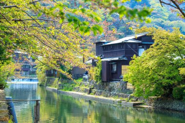 kiraz çiçeği arashiyama, kyoto, Japonya