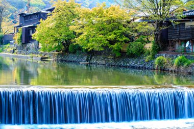kiraz çiçeği arashiyama, kyoto, Japonya