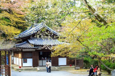 Bahar sezonu itibariyle güzel sakura sanjeong Tapınağı