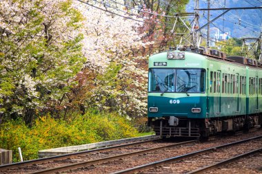 bahar mevsimi beatutiful sakura ile tren