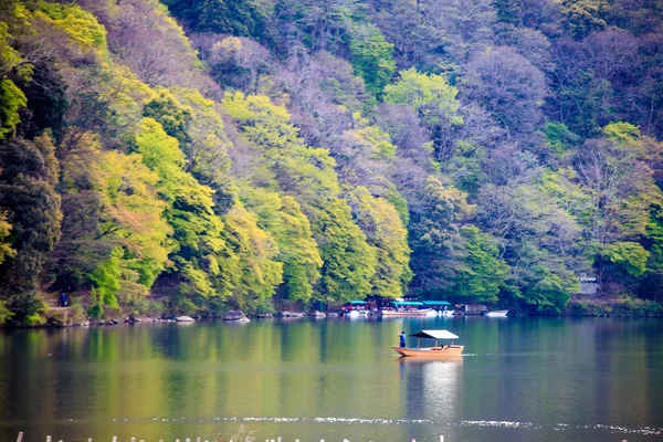 岚山，京都，日本樱花 — 图库照片