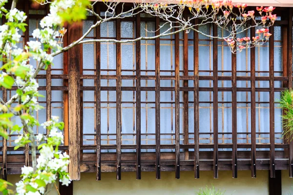 ดอกซากุระในอาราชิยาม่า เกียวโต ประเทศญี่ปุ่น — ภาพถ่ายสต็อก