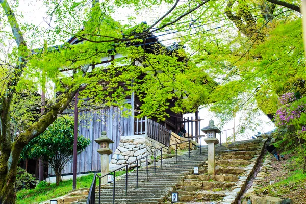 Sanjeong Temple with nice sakura at spring season — Stock Photo, Image