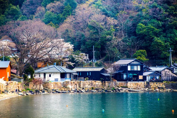 güzel arka plan ile güzel akçaağaç