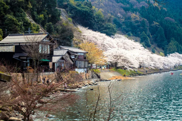 Sakura Sezon kaizu osaki içinde Japonya — Stok fotoğraf