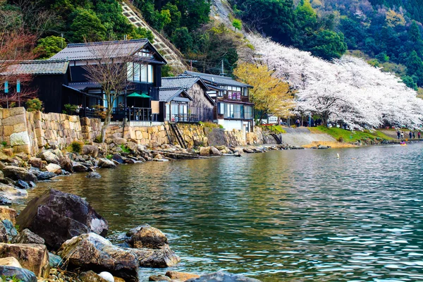 Sakura säsongen i kaizu osaki, japan — Stockfoto