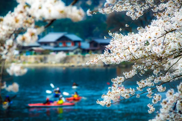 Sakura season in Kaizu Osaki, Japan — Stock Photo, Image