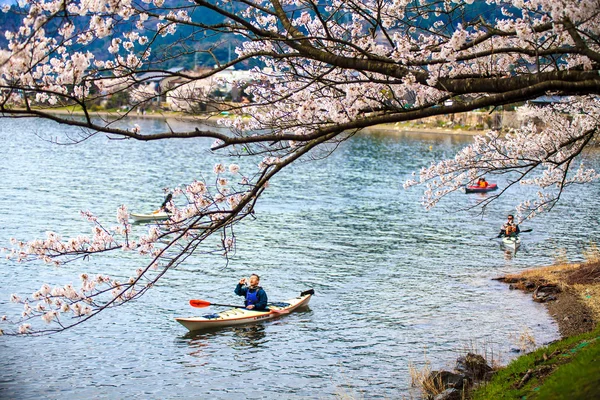 Temporada Sakura em Kaizu Osaki, Japão — Fotografia de Stock