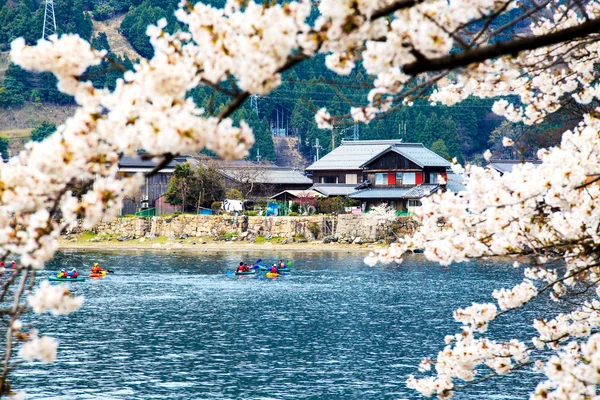 Sakura Sezon kaizu osaki içinde Japonya