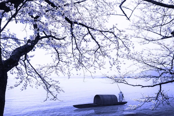 Sakura seizoen in kaizu osaki, japan — Stockfoto