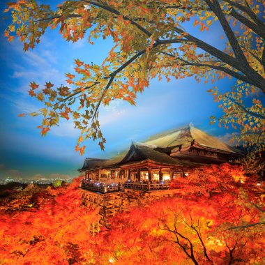 Beautiful maple with nice background clipart